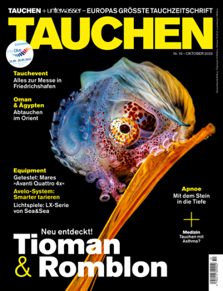 TAUCHEN Oktober 25