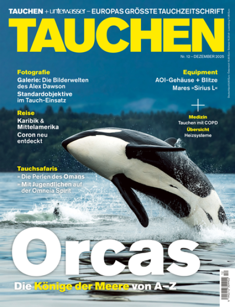 TAUCHEN Dezember 25