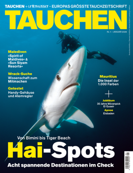 TAUCHEN Januar 26