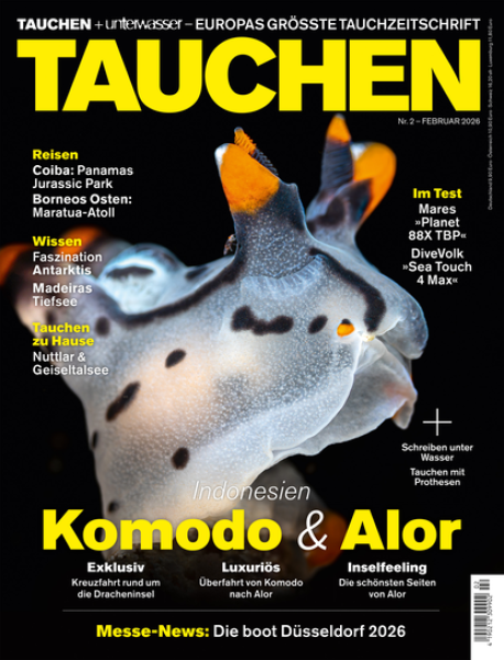 TAUCHEN Februar 26