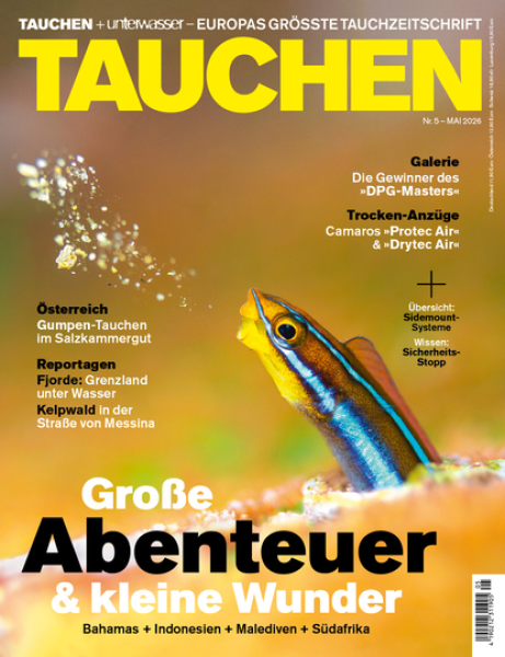 TAUCHEN Mai 26