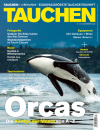 TAUCHEN Dezember 25
